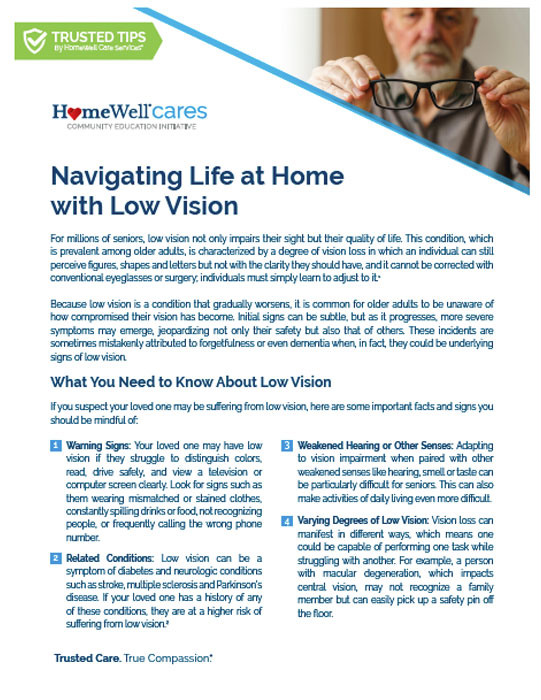 Navigating Life at Home with Low Vision